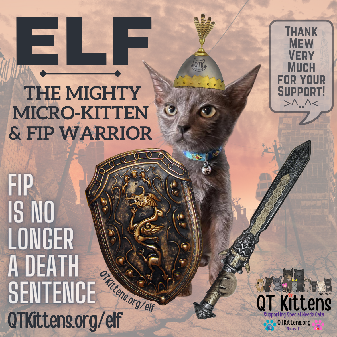 About the Elf?s FIP Warrior T-Shirt. &nbsp;QT Kittens.&nbsp; campaign on Bonfire 2