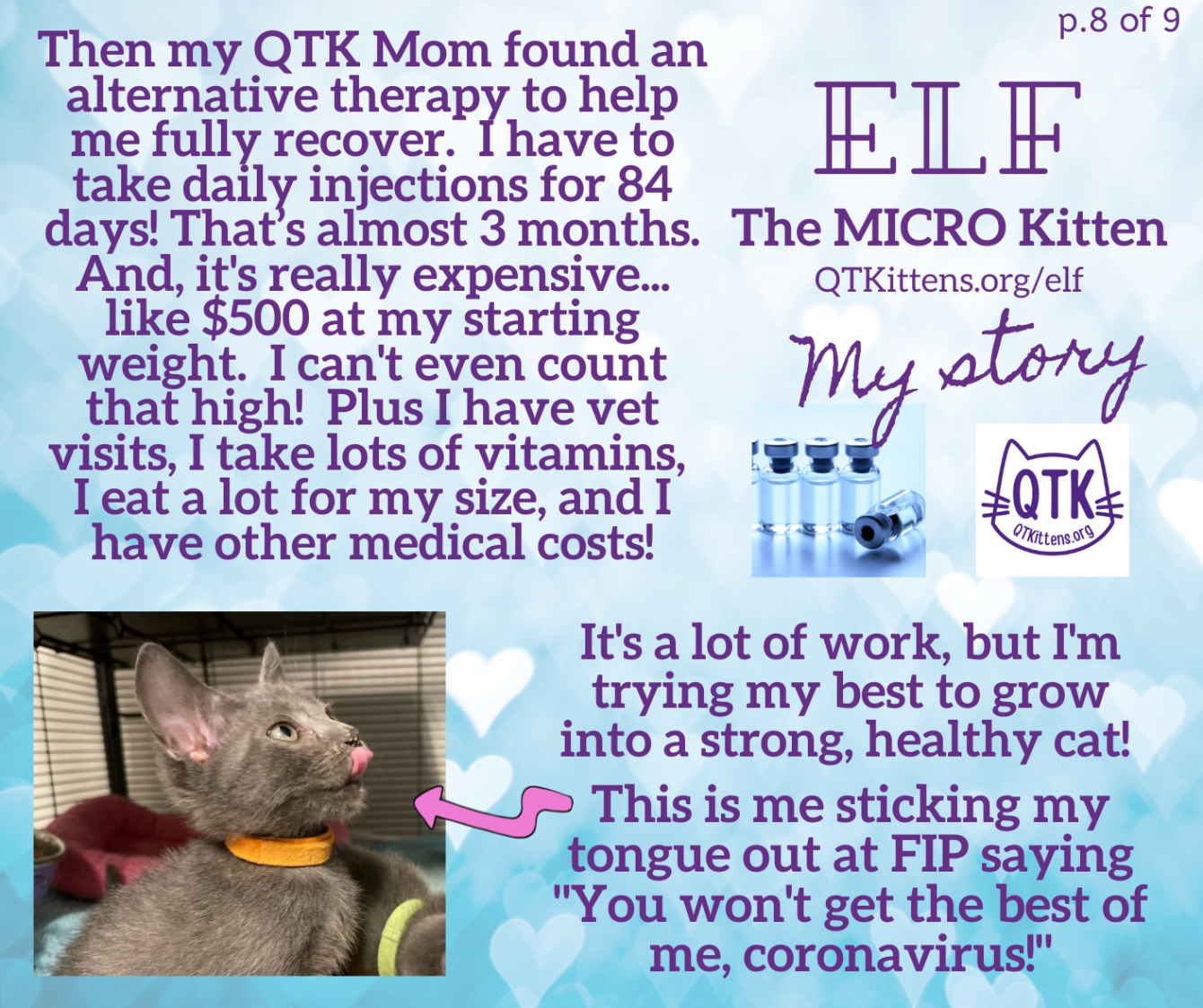 About the Elf?s FIP Warrior T-Shirt. &nbsp;QT Kittens.&nbsp; campaign on Bonfire 11
