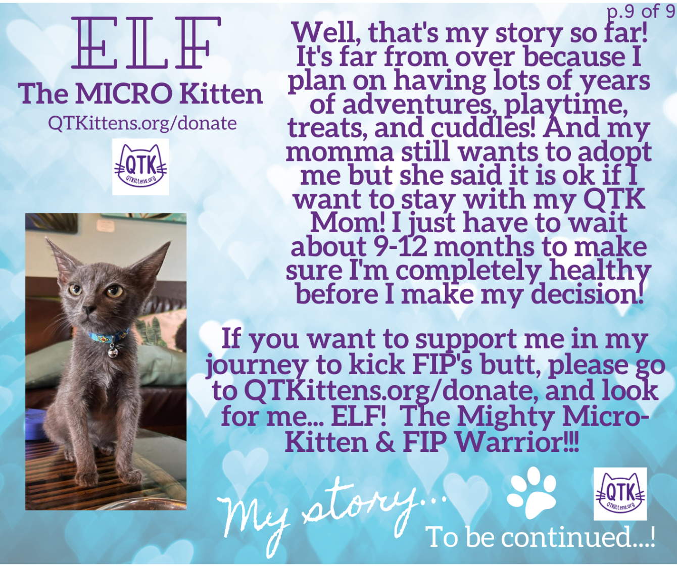 About the Elf?s FIP Warrior T-Shirt. &nbsp;QT Kittens.&nbsp; campaign on Bonfire 12
