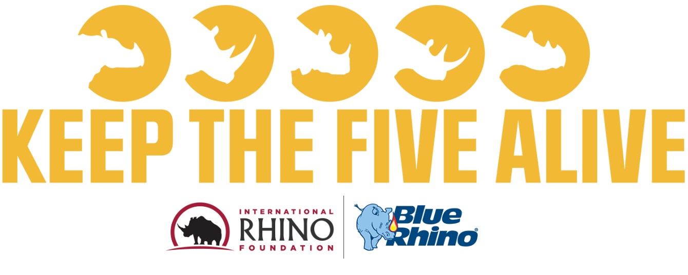 About the Keep the Five Alive campaign on Bonfire 2