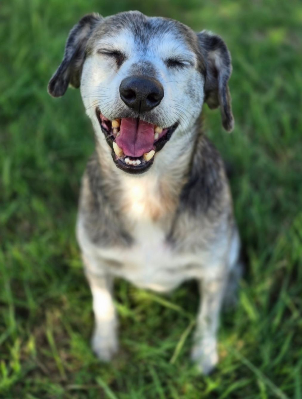 About the CLASS campaign on Bonfire 2