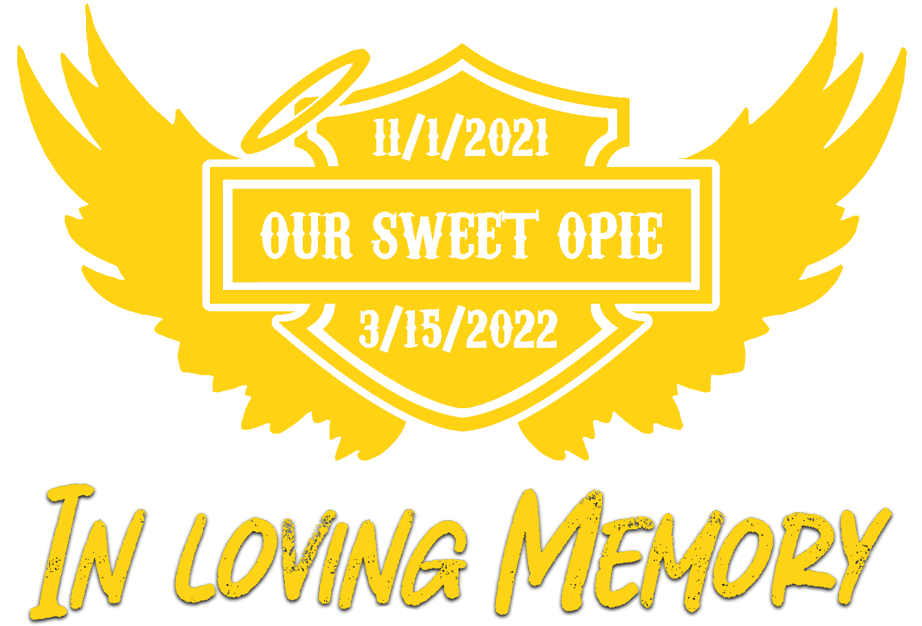 About the Team Opie campaign on Bonfire 2