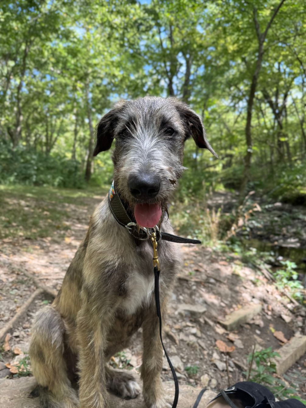 About the Constellation FableStrong Design campaign on Bonfire 4