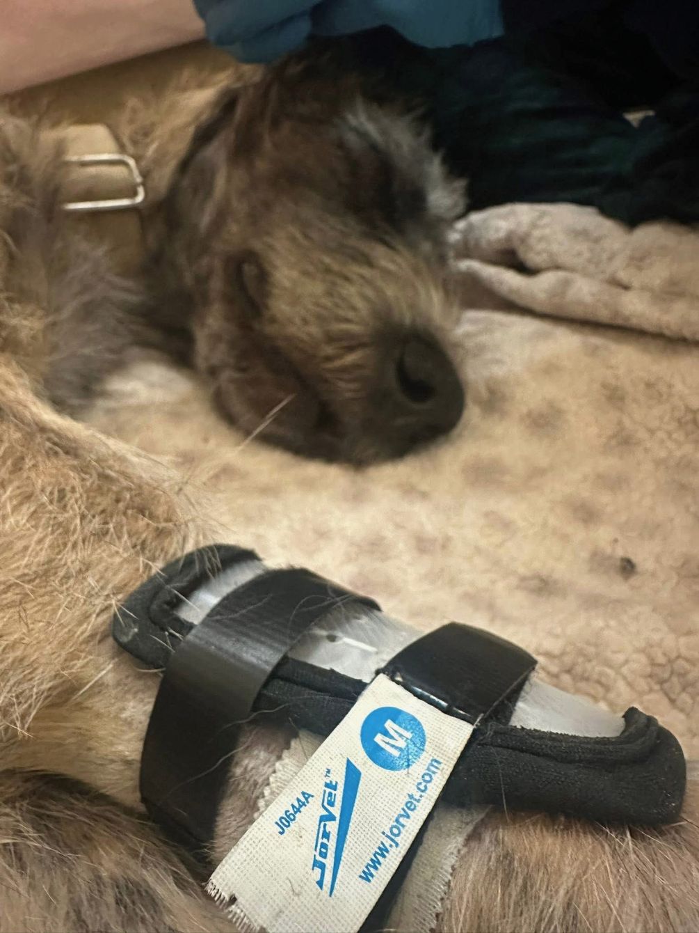 About the Constellation FableStrong Design campaign on Bonfire 2