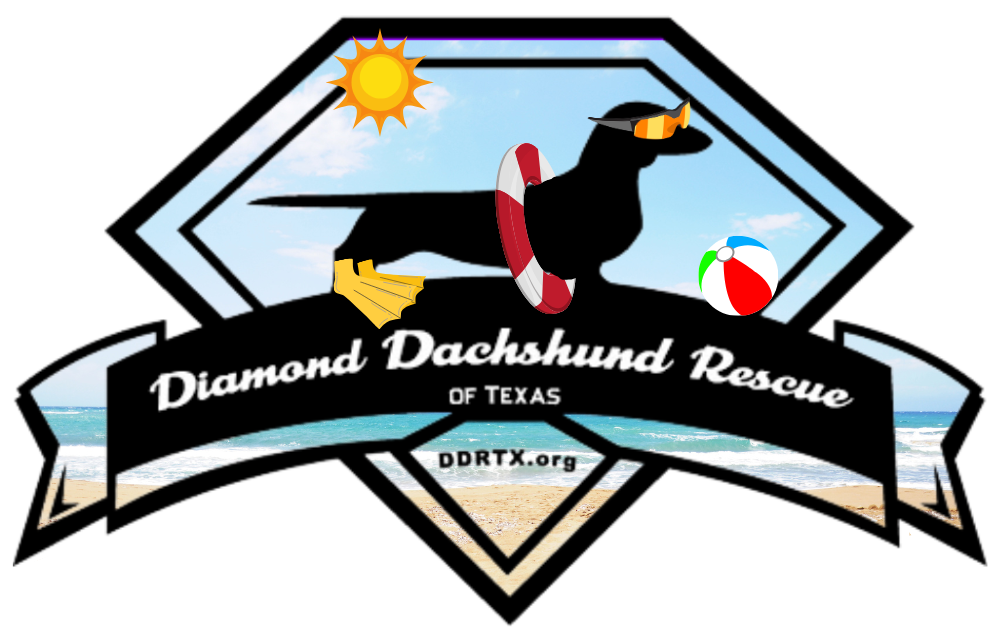 About the DDRTX Beach Vibes campaign on Bonfire 2