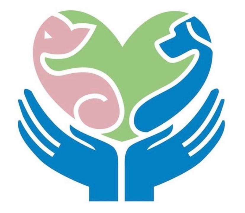 About the DEGA Mobile Veterinary Care campaign on Bonfire 2