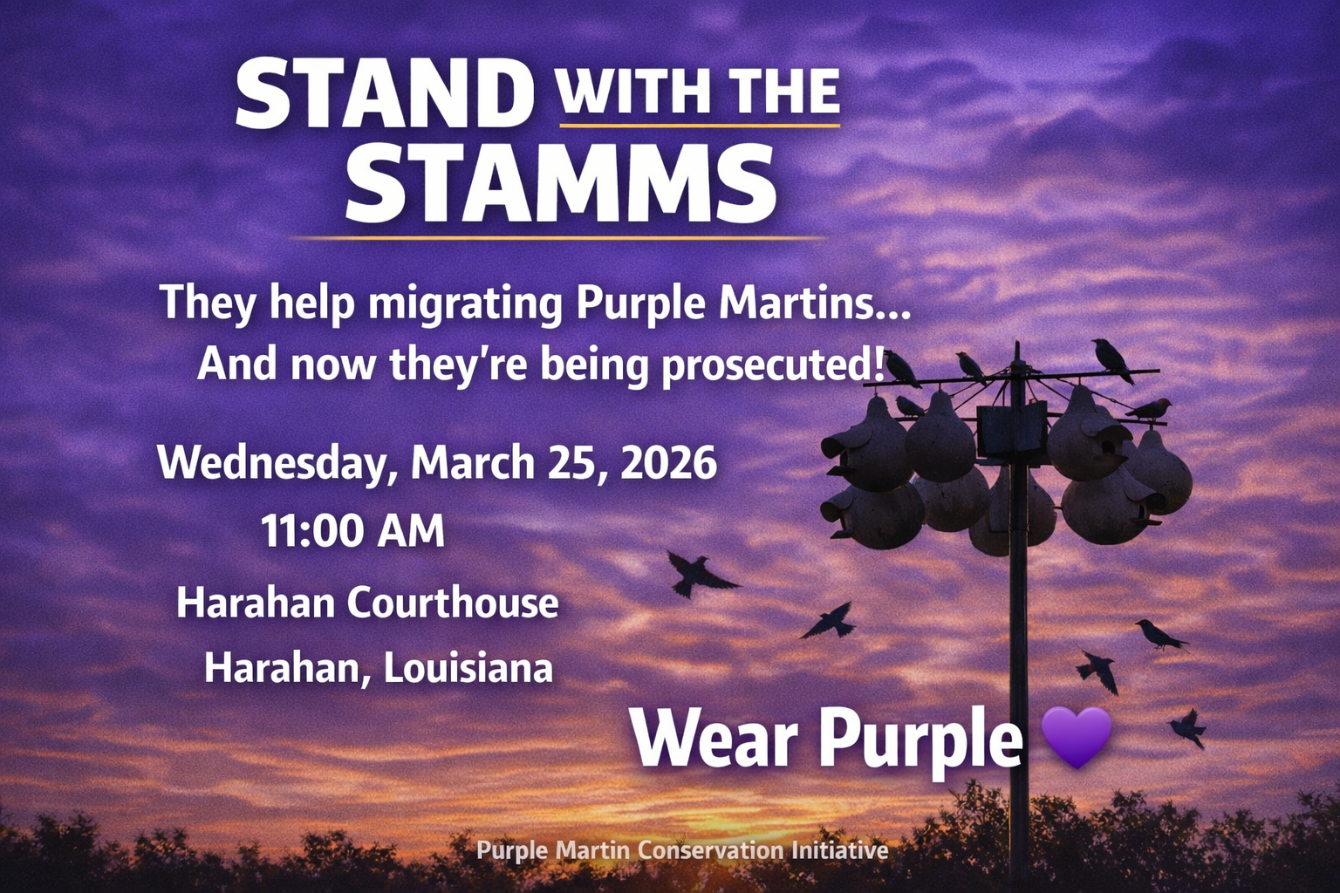 About the Purple Martin Support&nbsp; campaign on Bonfire 2