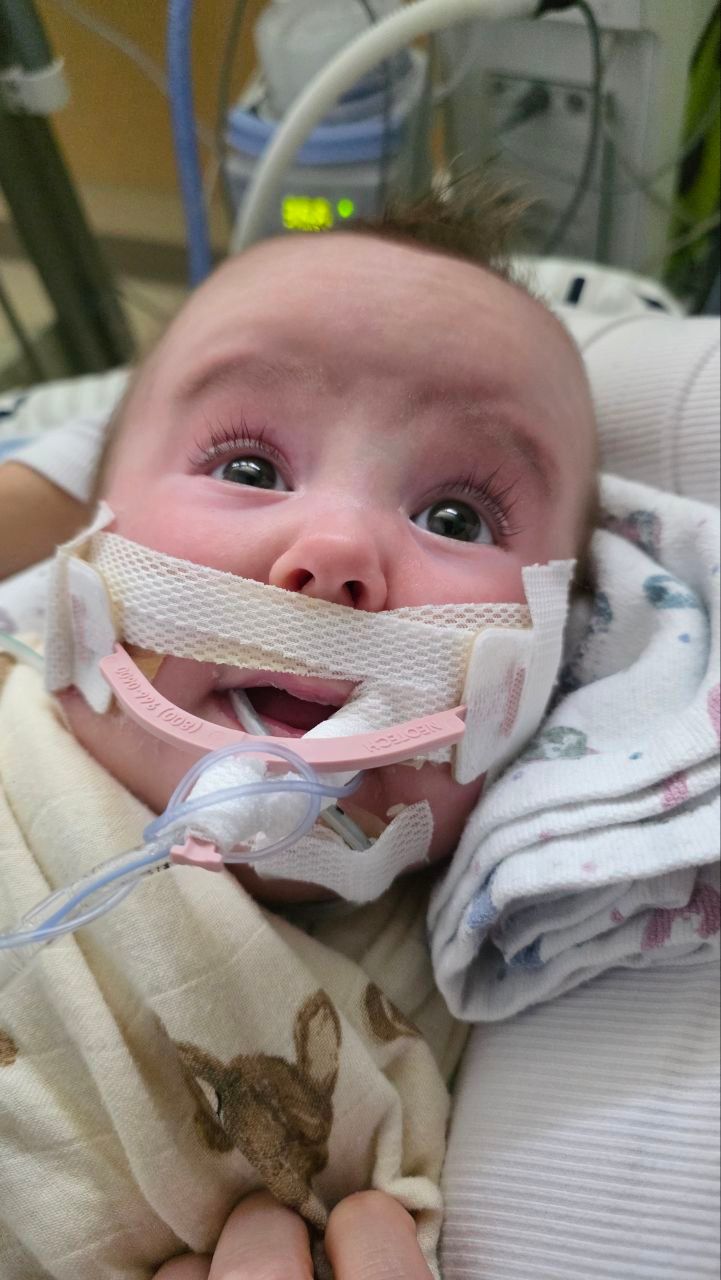 About the Shep's Herd campaign on Bonfire 4