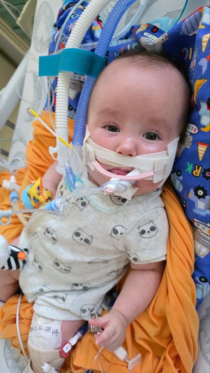 About the Shep's Herd campaign on Bonfire 2