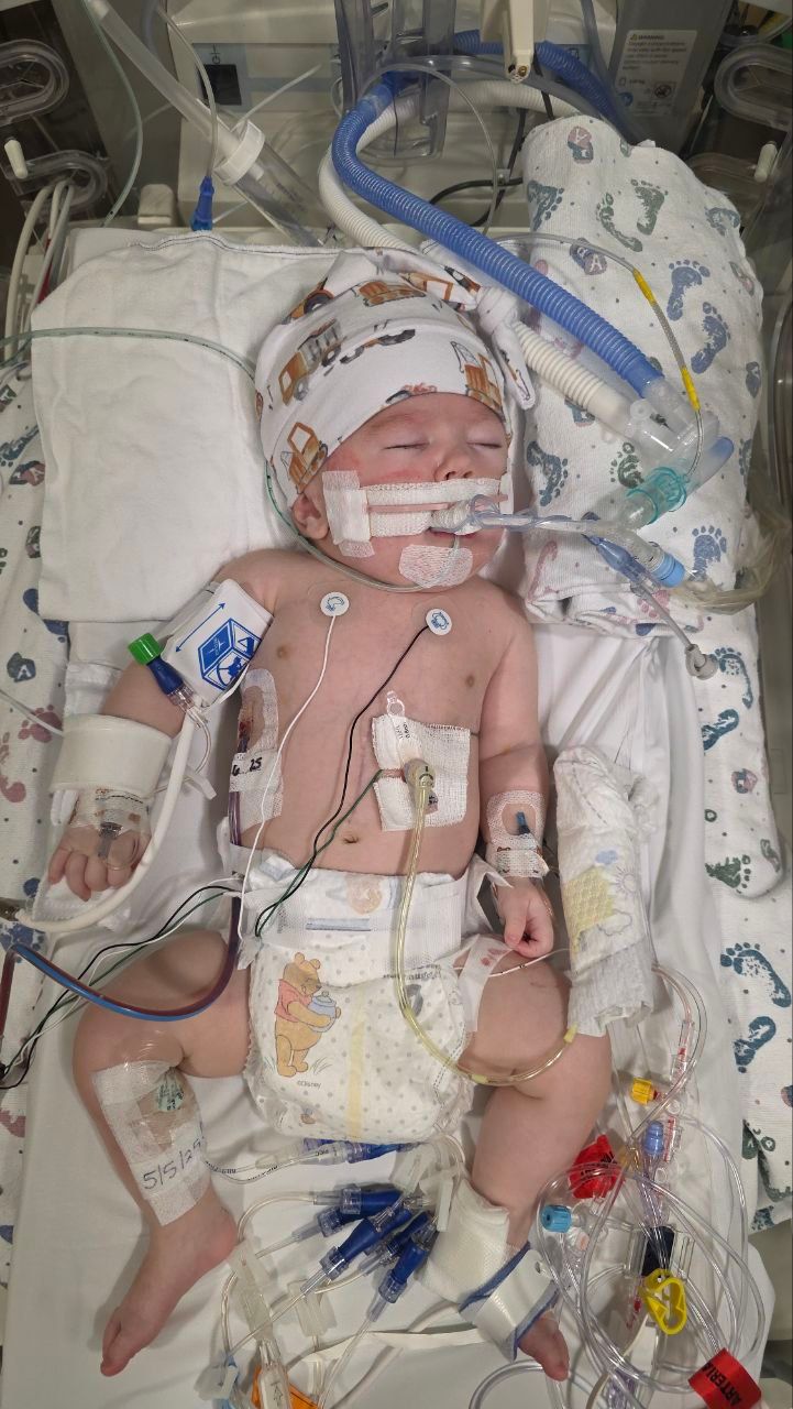 About the Shep's Herd campaign on Bonfire 3