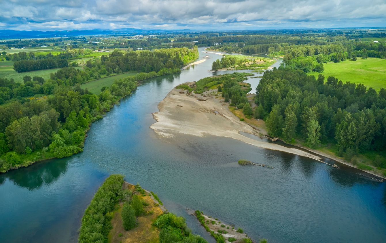 About the Beaver Hoodie campaign on Bonfire 2