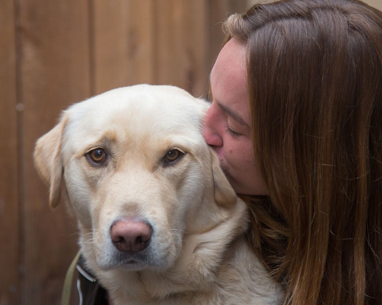 About the Give a Dog a Bone campaign on Bonfire 6