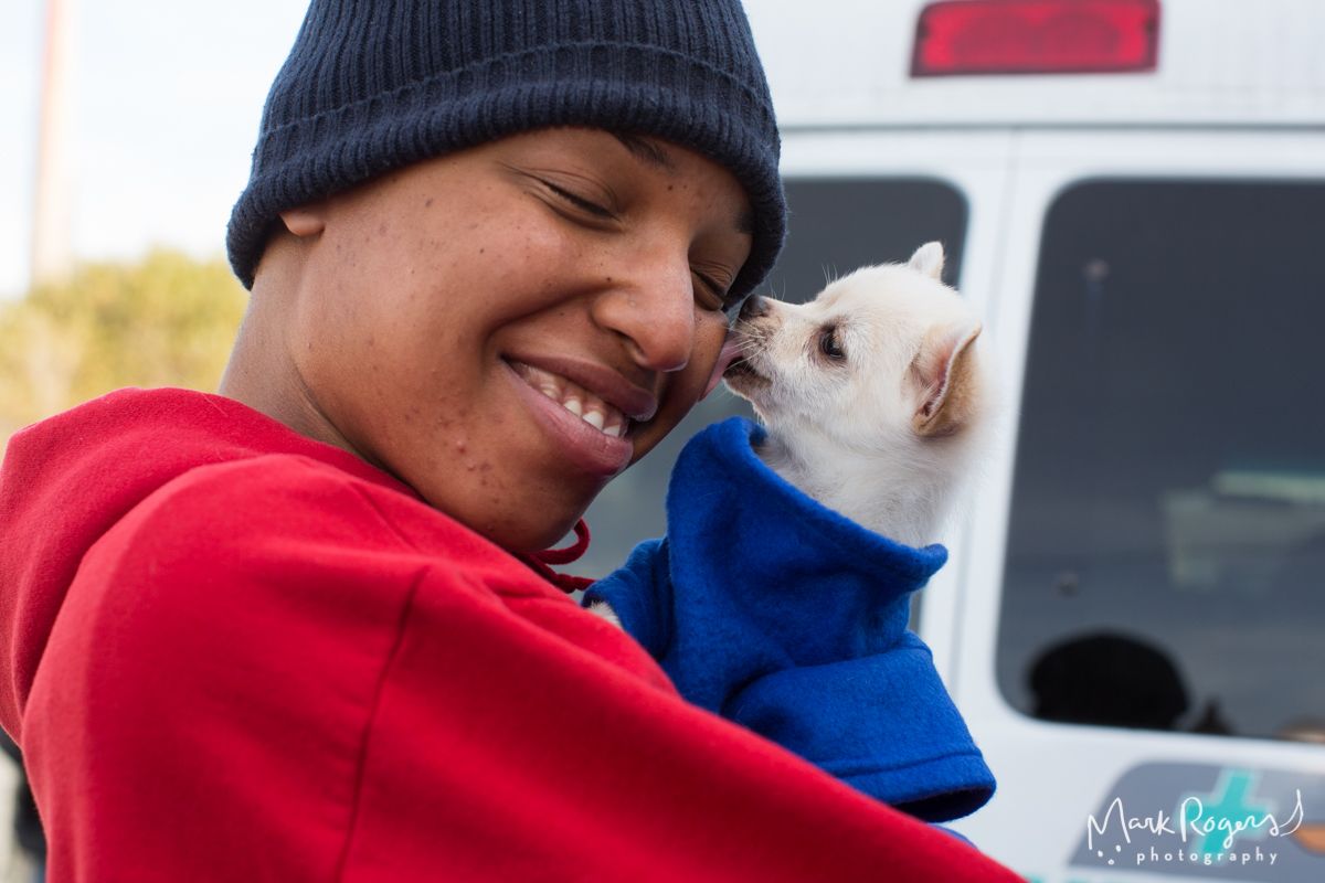 About the Give a Dog a Bone campaign on Bonfire 4