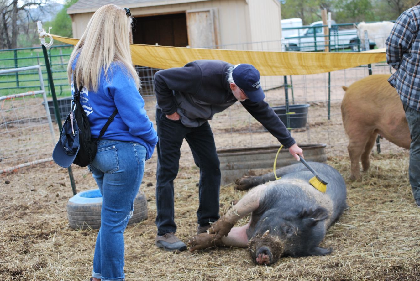 About the Good Life Refuge Logo Pocket Tees campaign on Bonfire 2