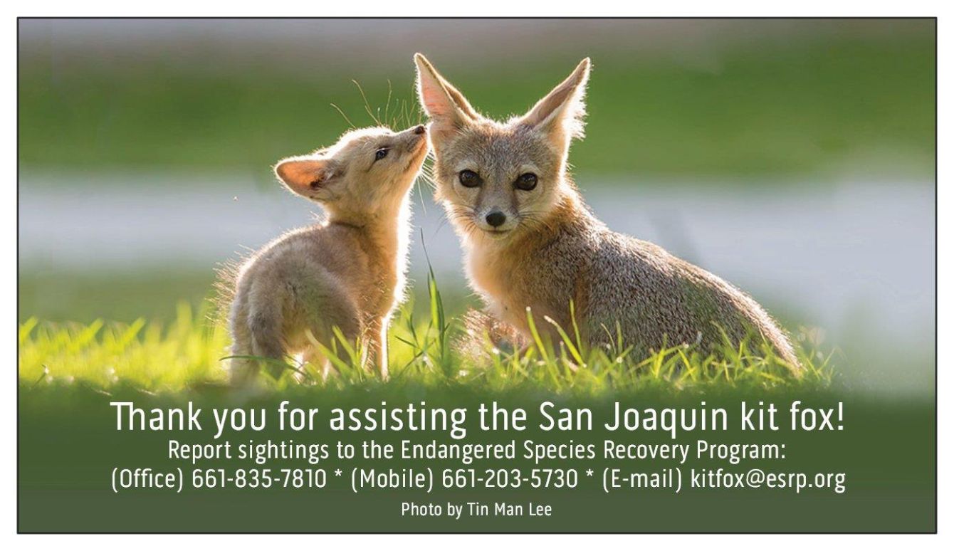 About the SAVE THE SAN JOAQUIN KIT FOX campaign on Bonfire 2