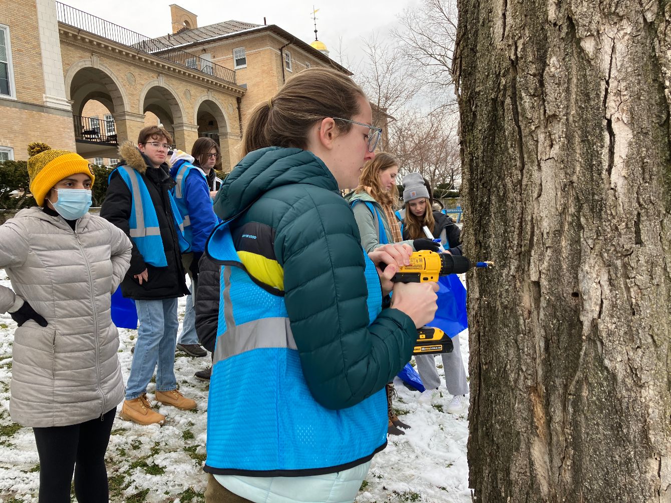 About the Somerville Maple Syrup Project Tote Bag campaign on Bonfire 2