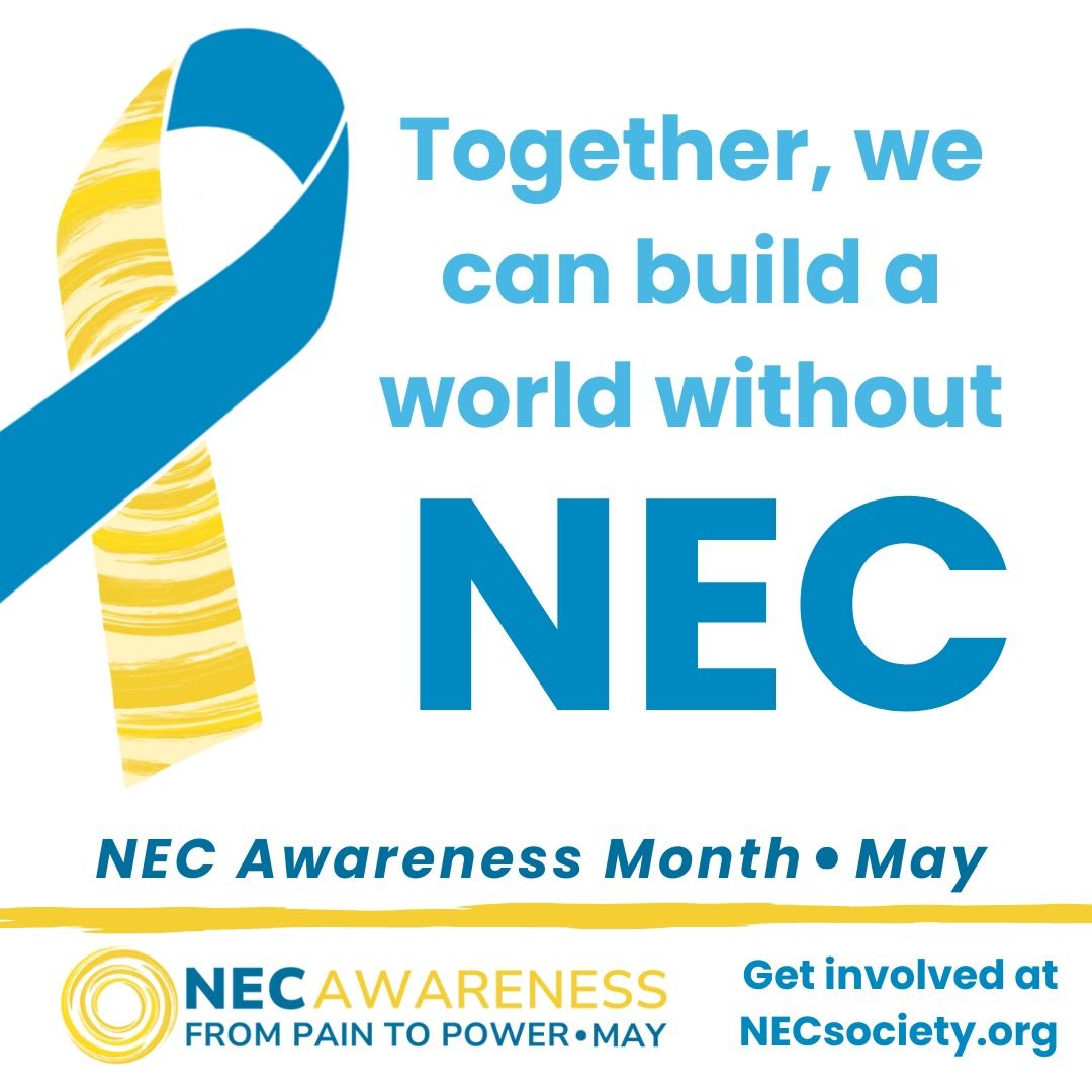 About the  campaign on Bonfire 3