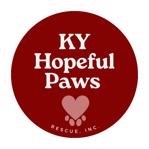 About the KYHPR Grateful for Rescue campaign on Bonfire 2