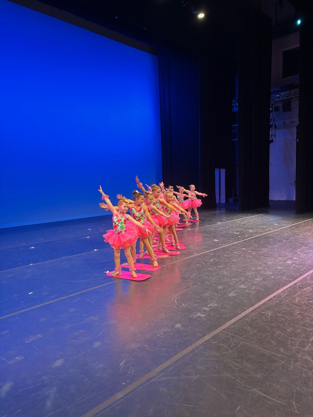 About the DTG Recital 2026 campaign on Bonfire 2