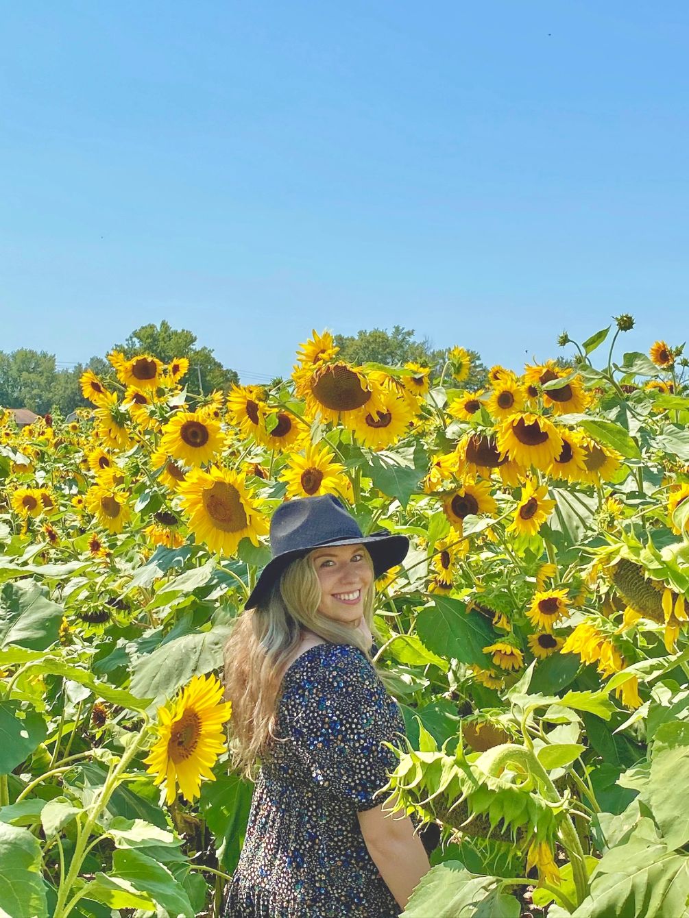 About the Abby's Sunshine Club Apparel campaign on Bonfire 1