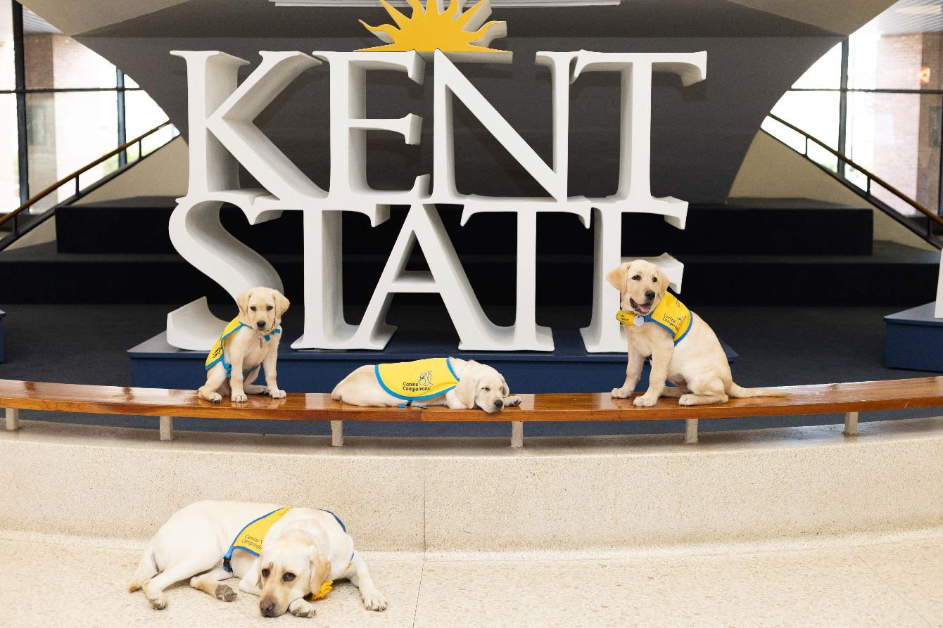 About the Collar Scholars Canine Companions Fundraiser&nbsp; campaign on Bonfire 5