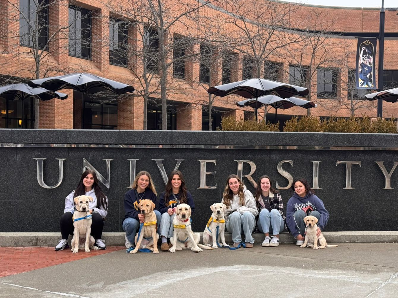 About the Collar Scholars Canine Companions Fundraiser&nbsp; campaign on Bonfire 7