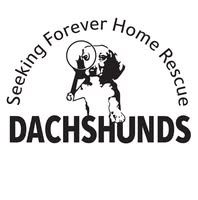 About the Dachshunds Seeking Forever Home Rescue campaign on Bonfire 1