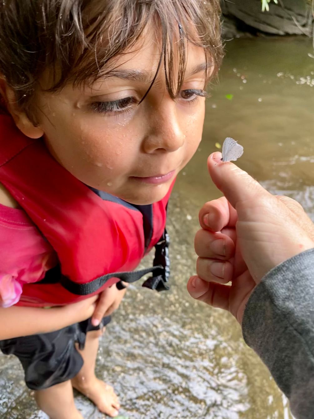 About the Jocassee Wild Child Outdoor Lab Experiences campaign on Bonfire 4