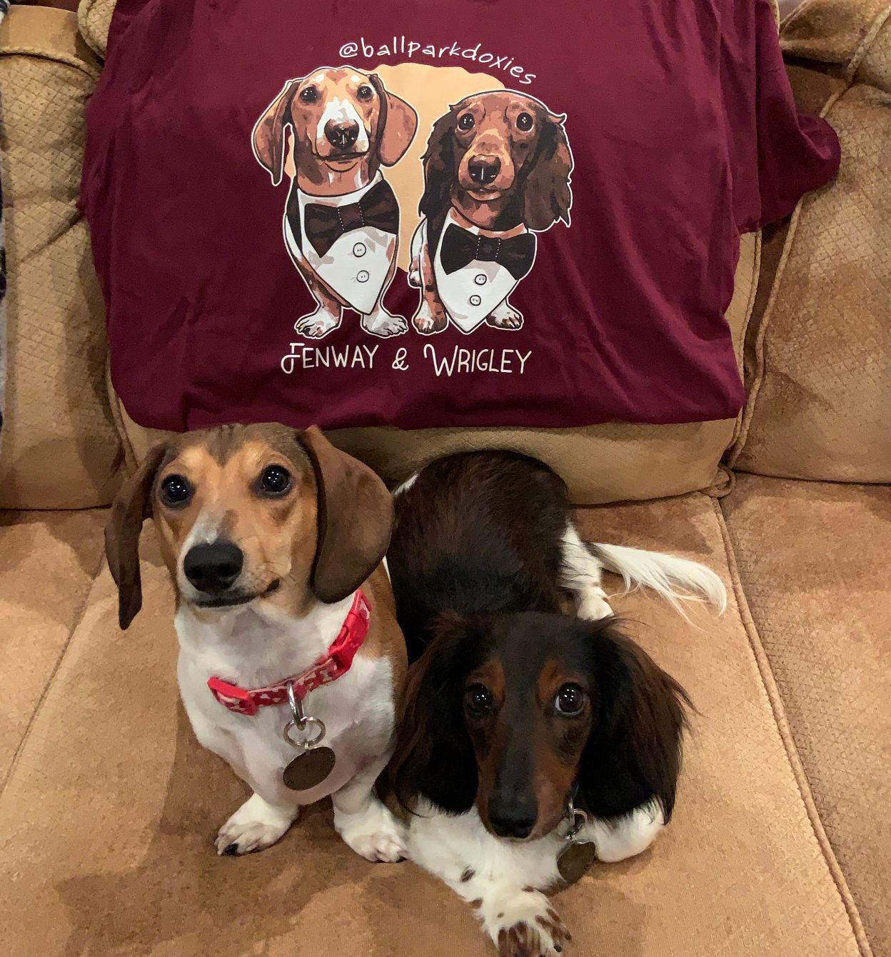 About the @ballparkdoxies campaign on Bonfire 2