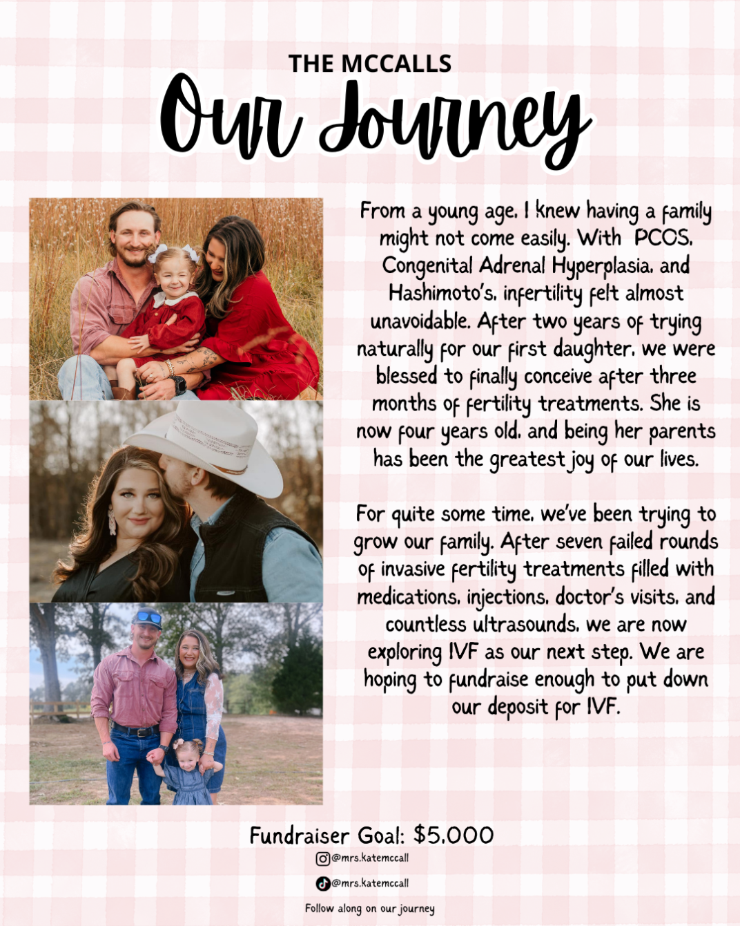 About the  campaign on Bonfire 2