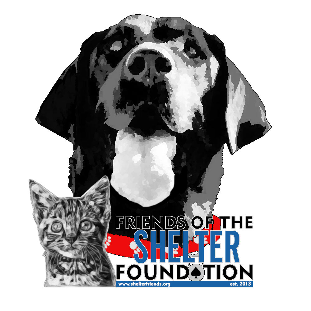 About the Pitties for Pride! campaign on Bonfire 2