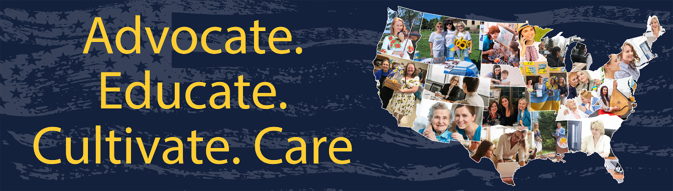 About the Ukrainian Heritage and Strength campaign on Bonfire 2