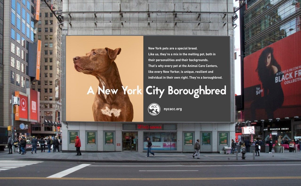 About the NYC Boroughbred Guide to Social Distancing campaign on Bonfire 2