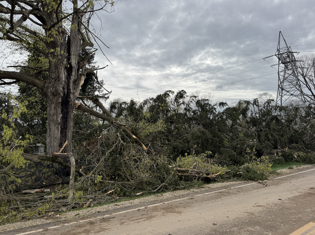 About the Plainwell Island City Strong campaign on Bonfire 8