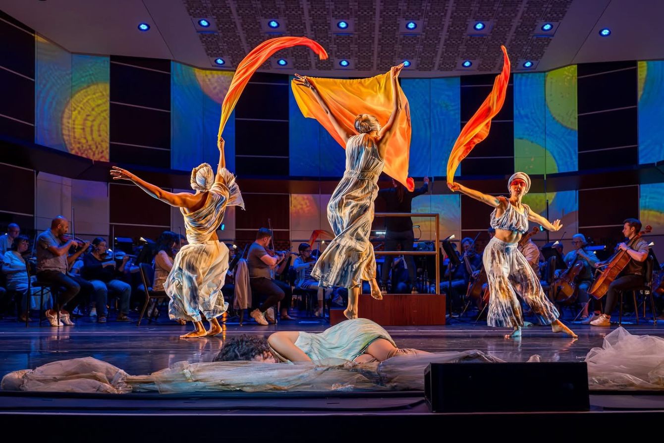 About the Support Local Dance St. Pete - The Tee campaign on Bonfire 5