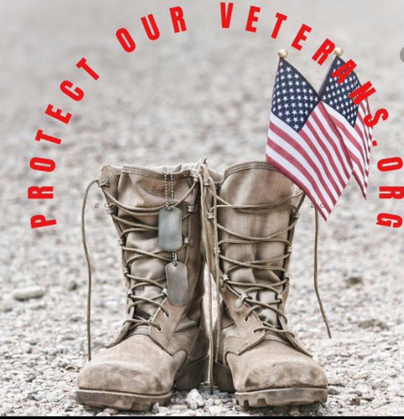 About the Veterans helping veterans campaign on Bonfire 2