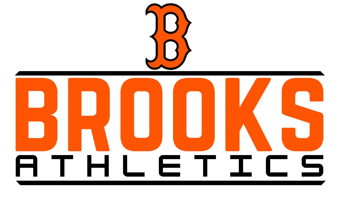 About the  campaign on Bonfire 2