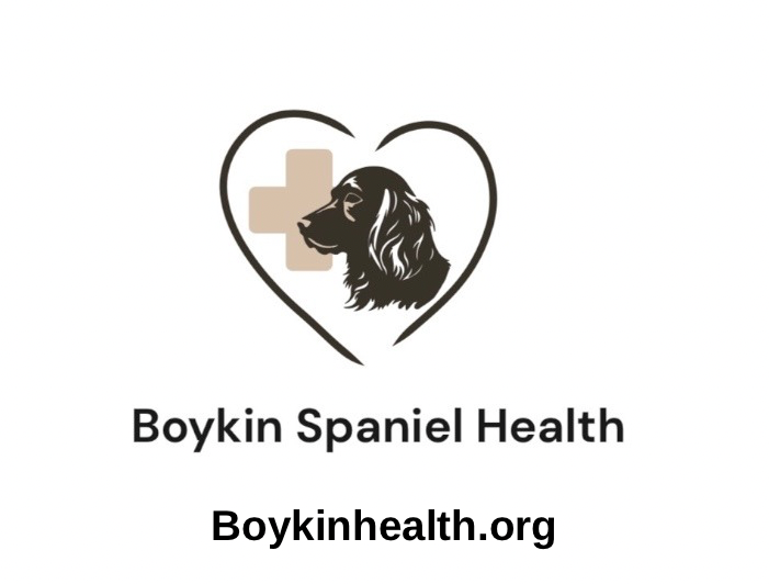 About the Boykin Spaniel Health T-Shirts campaign on Bonfire 2