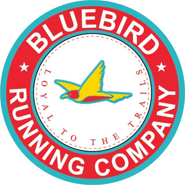 About the Bluebird Roadrunners campaign on Bonfire 2