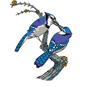 About the Mates for Life Mug campaign on Bonfire 3