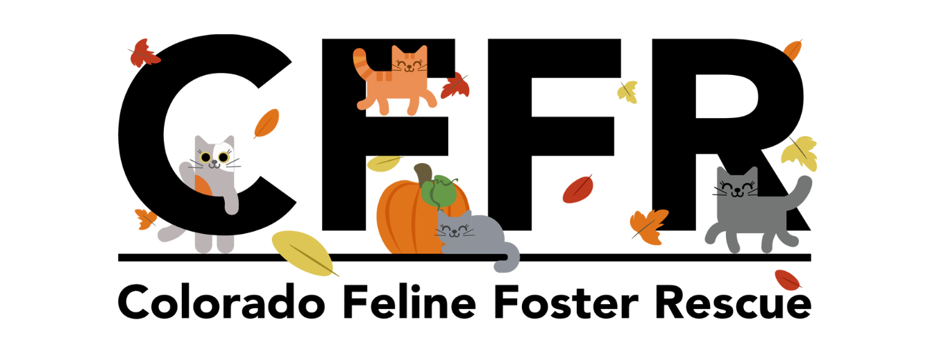 About the Colorado Feline Foster Rescue campaign on Bonfire 0