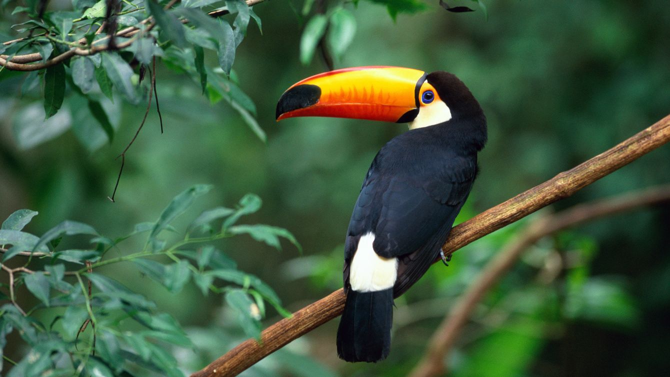 About the GOD Loves yoU !!! campaign on Bonfire 2