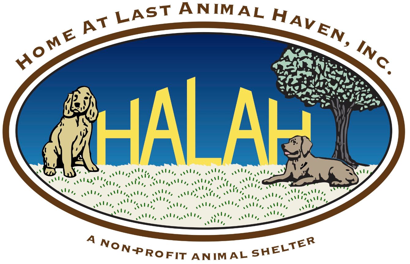 About the Peace Love Joy campaign on Bonfire 3