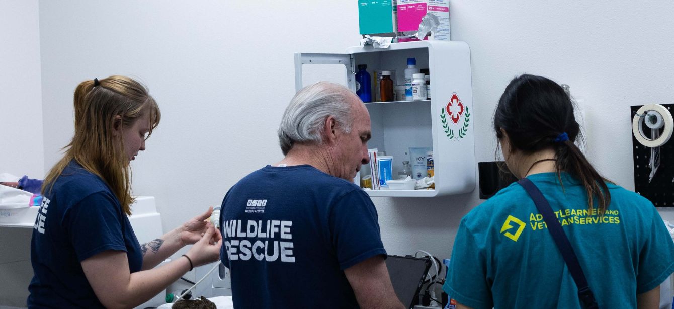 About the I Give a Dam About Beavers - Style 1 campaign on Bonfire 3