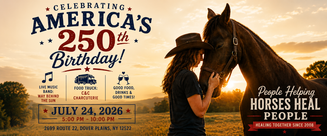 About the Stars, Stripes & Sanctuary campaign on Bonfire 2