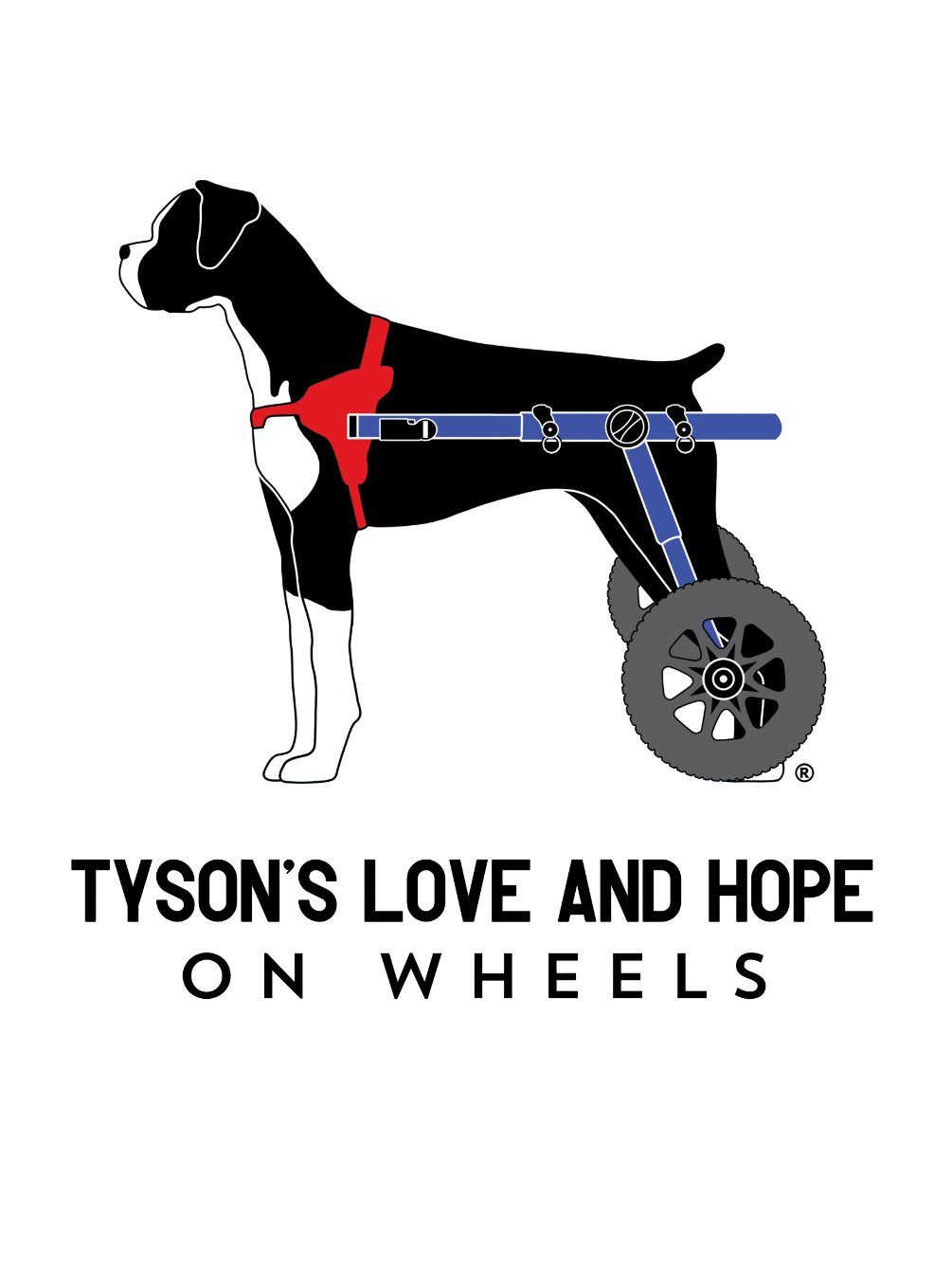 About the New Tops 2026 campaign on Bonfire 2