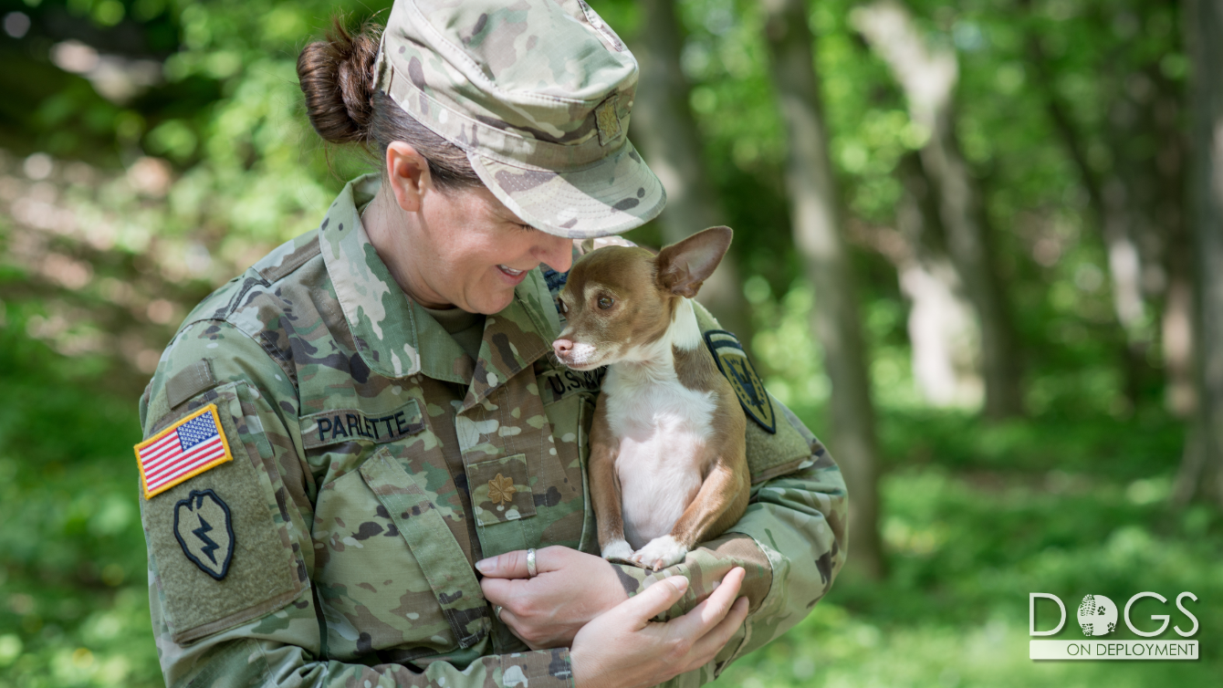 About the Peanut, DoD 2018 Mascot campaign on Bonfire 1