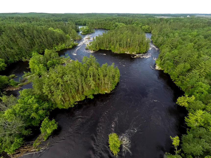 About the Support Roots and Rivers Collaborative campaign on Bonfire 2
