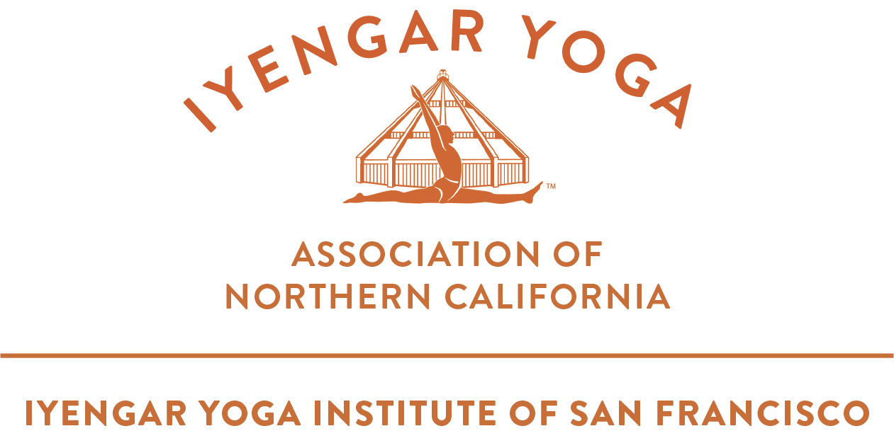 About the Geeta Iyengar Practice Tee campaign on Bonfire 2