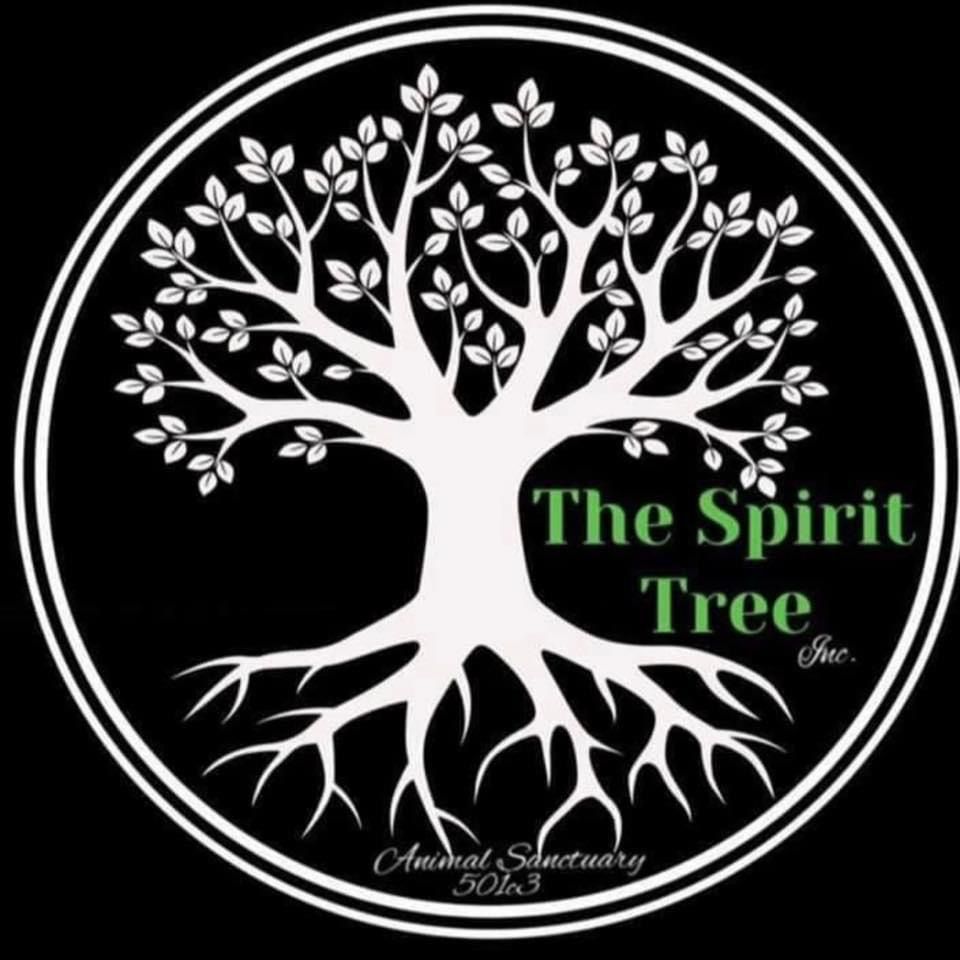 About the The Spirit Tree (shirts) campaign on Bonfire 2